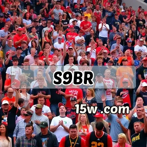 s9br.com Suporte 24/7