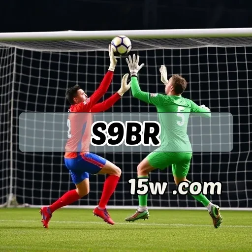 s9br.com VIP